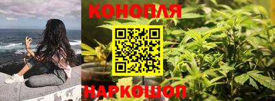 СК Конаково
