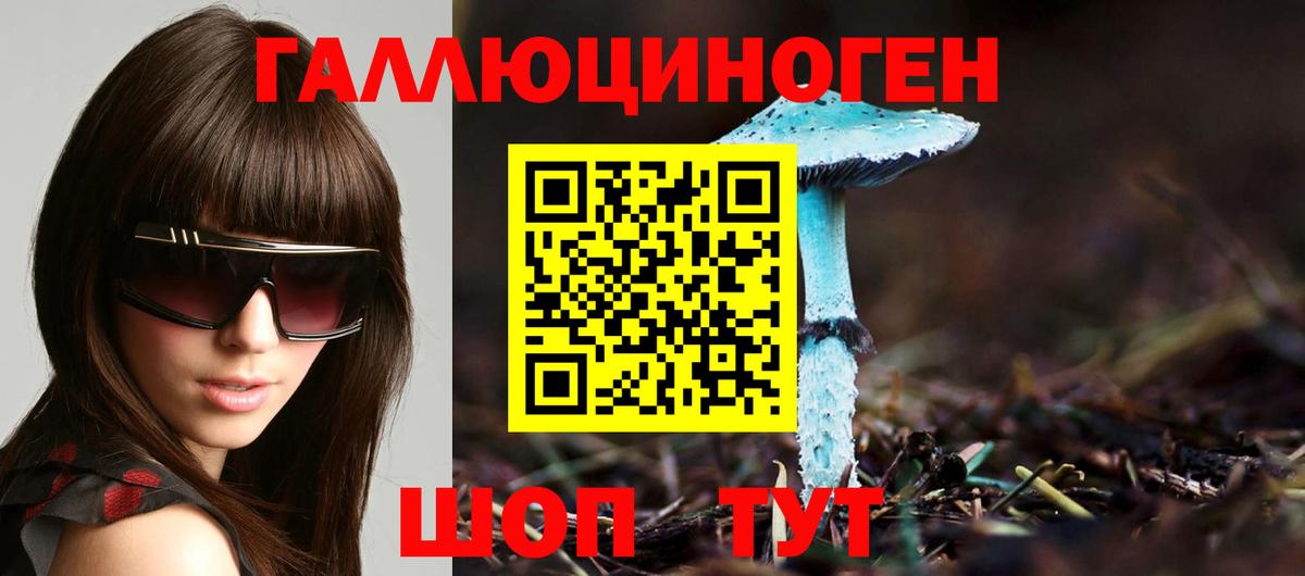 Псилоцибиновые грибы Psilocybine cubensis  Вход с VPN  Биробиджан  Псилоцибиновые грибы прущие грибы 